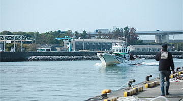カネサン加工場からすぐの場所にある舞阪漁港